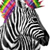 Wanddeko | Nanu-Nana Poster Zebra Punk, Nr. 238