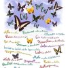 Wanddeko | Nanu-Nana Poster Trau Dich, Nr. 36