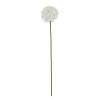 Kunstblumen | Nanu-Nana Barlauch Pompom, Weis, 66 Cm